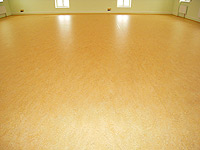 linoleum, PVC